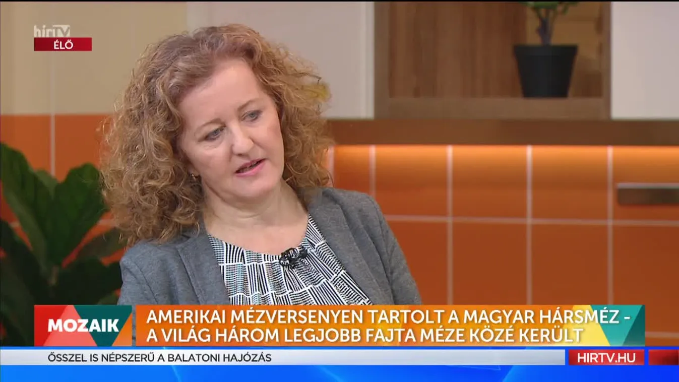 Mozaik - Amerikai mézversenyen tarolt a magyar hársméz (2022-09-12)