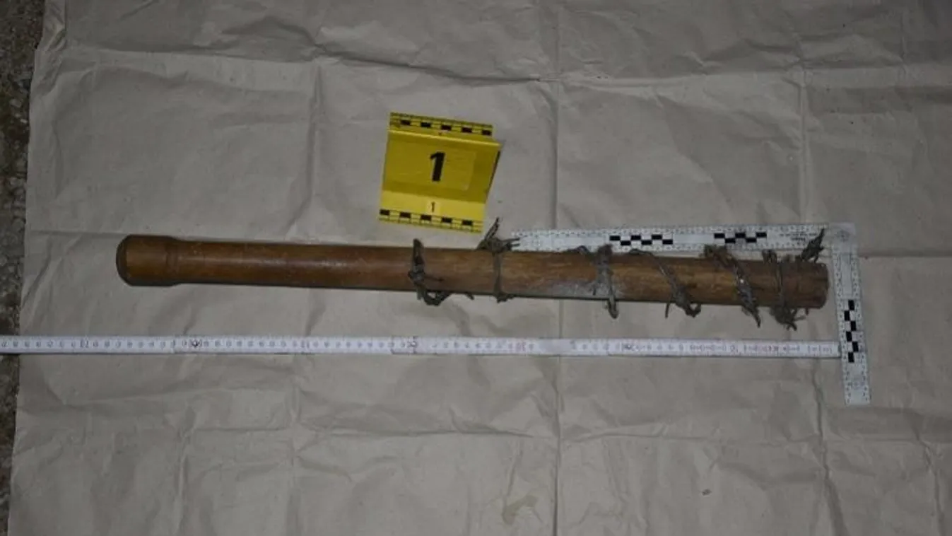 Szögesdrótba tekert fával támadtak mentősökre Tatabányán