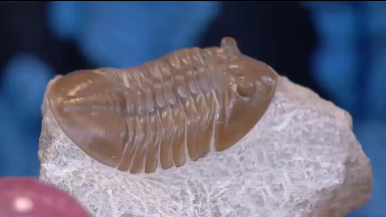 Mozaik - Több mint 100 kiállító lesz a hétvégi budapesti ásványbörzén