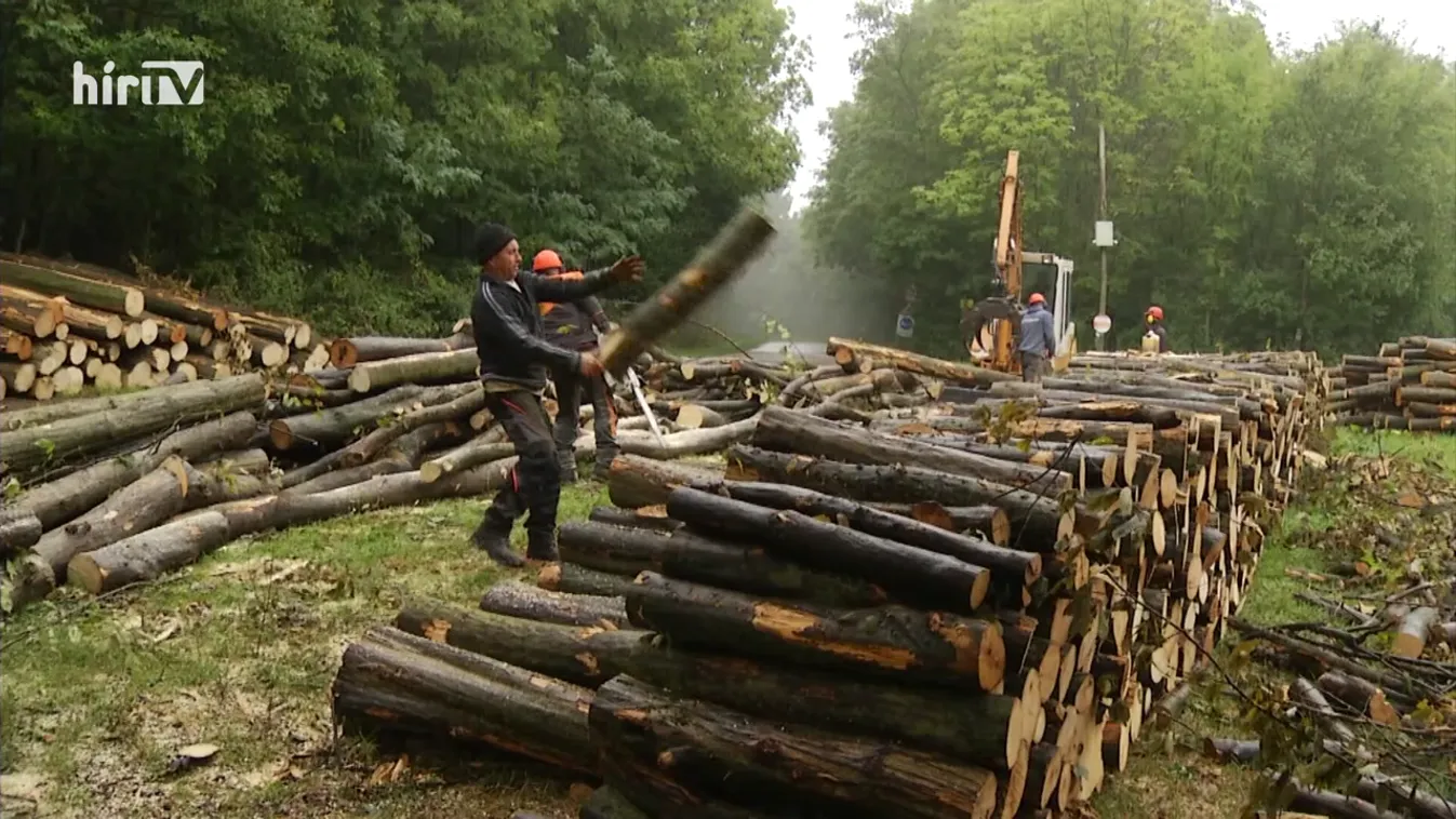 Soroló: Roham a hatósági áras tűzifákért