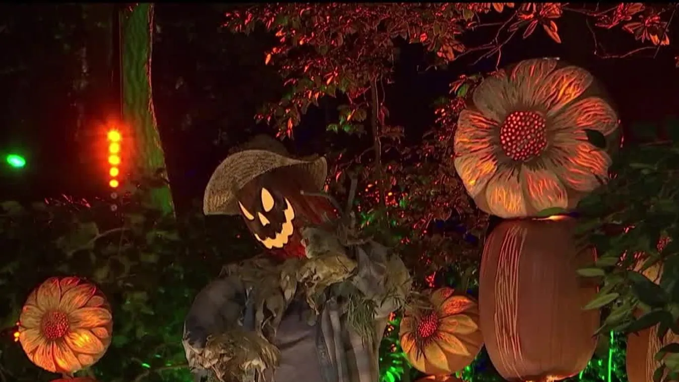 Radar: Halloween a nagyvilágban