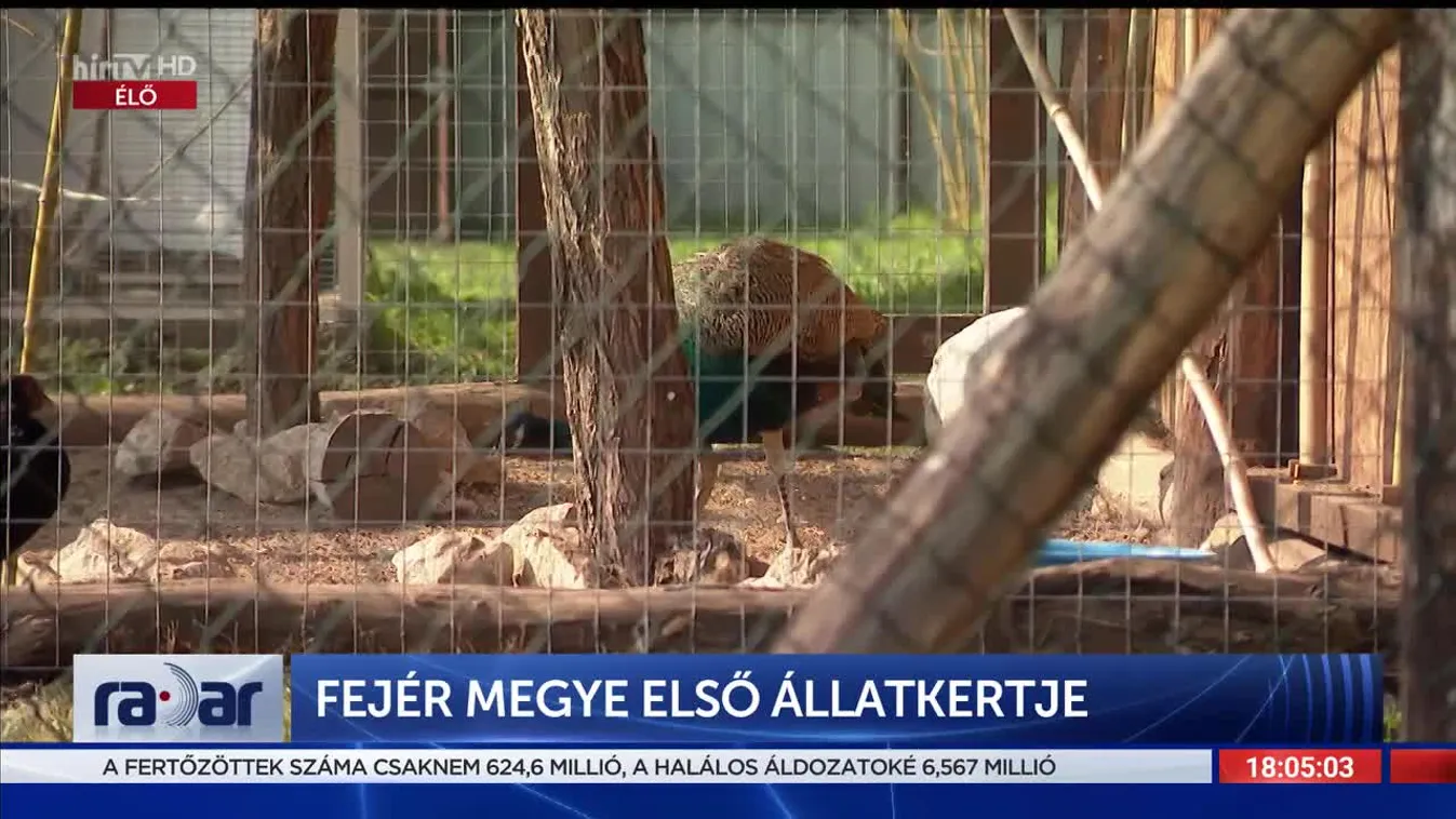 Radar - Fejér megye első állatkertje (2022-10-17)
