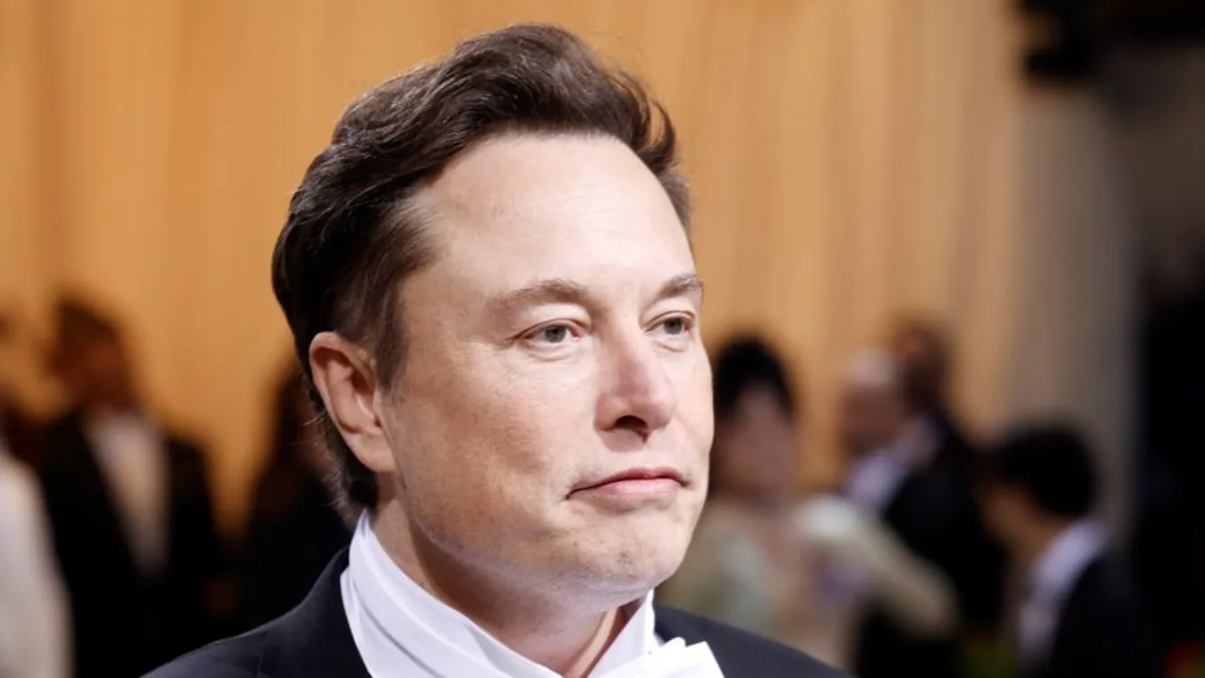 Elon Musk a Brassó megyei Törcsvár kastélyában ünnepel