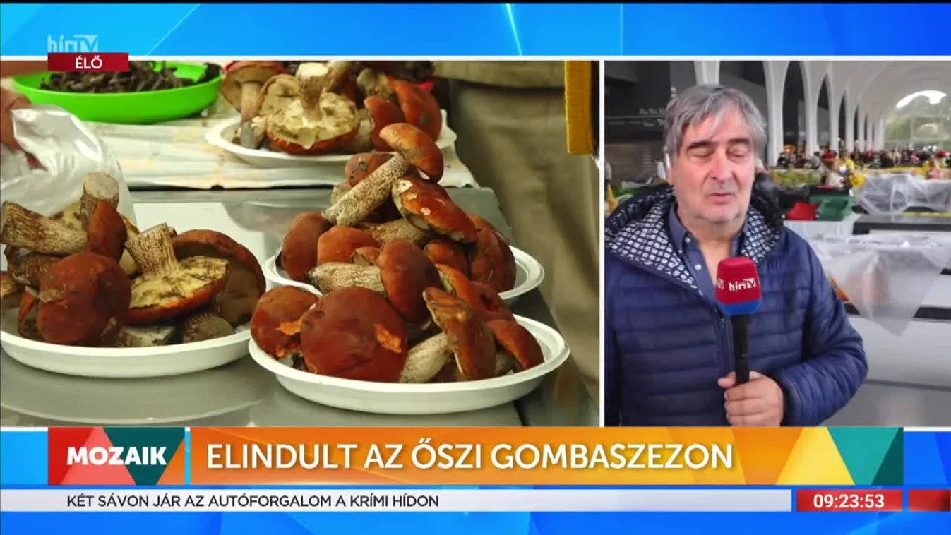 Mozaik - Elindult az őszi gombaszezon (2022-10-10)