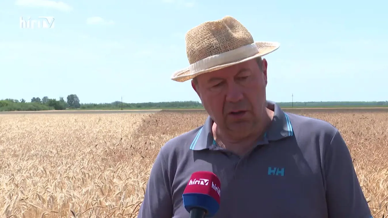 Soroló (2022-10-01)