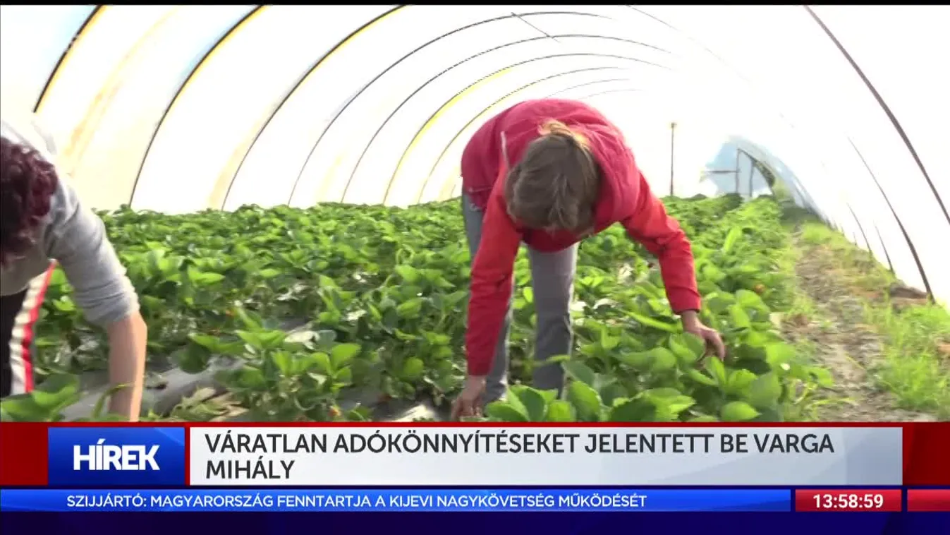 Váratlan adókönnyítéseket jelentett be Varga Mihály