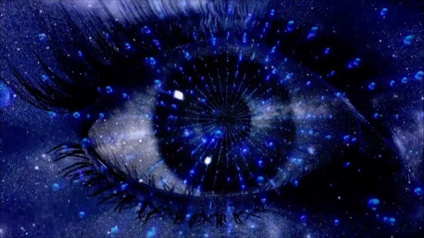 Radar - A fehér bot napja