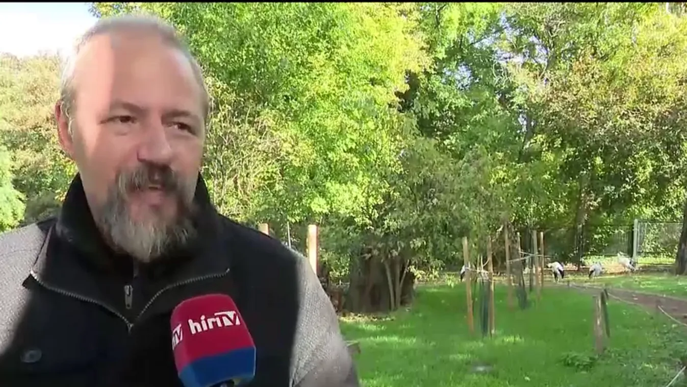 Mozaik: Állatok világnapja