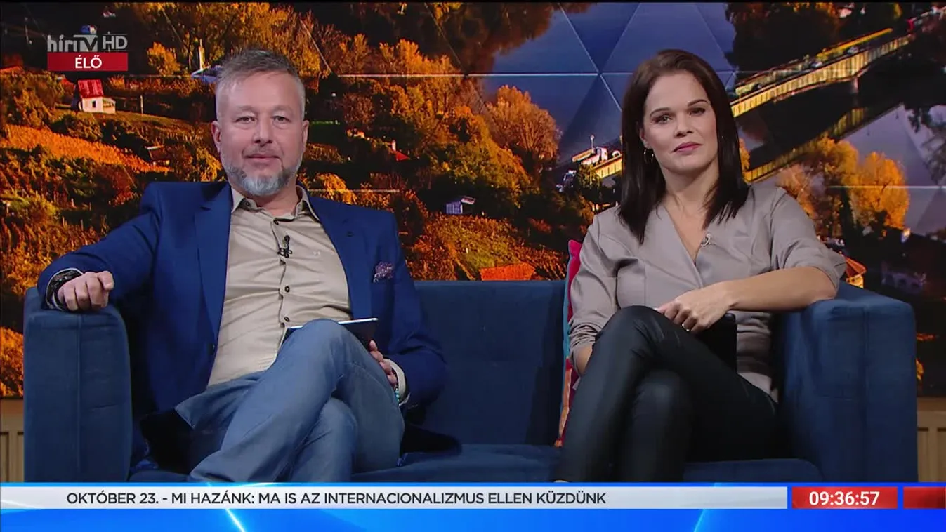 Mozaik - 50 éves a magyar hard rock