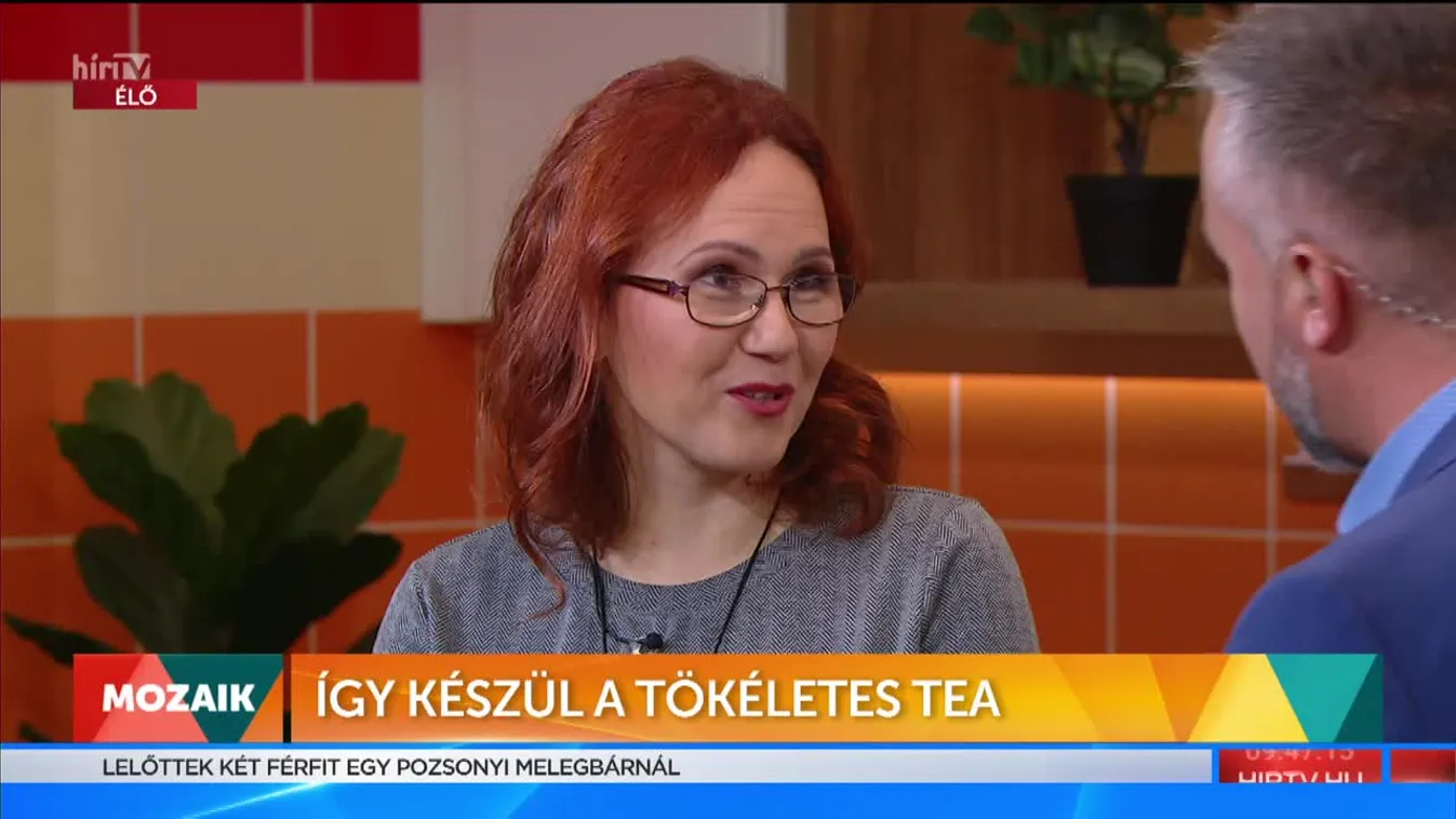 Mozaik - Így készül a tökéletes tea (2022-10-13)