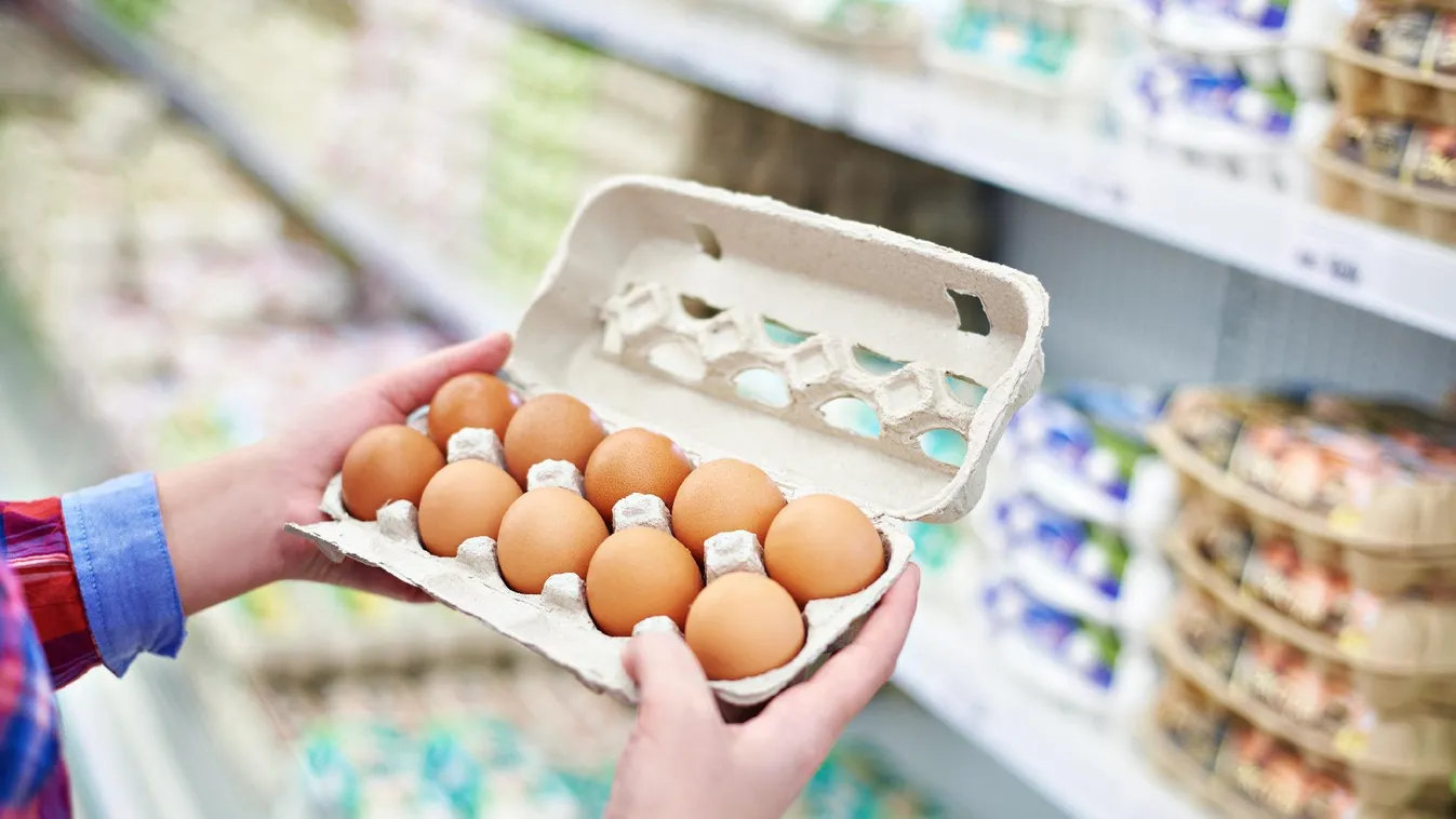 Magyar Tojásszövetség: továbbra sincs hiány tojásból