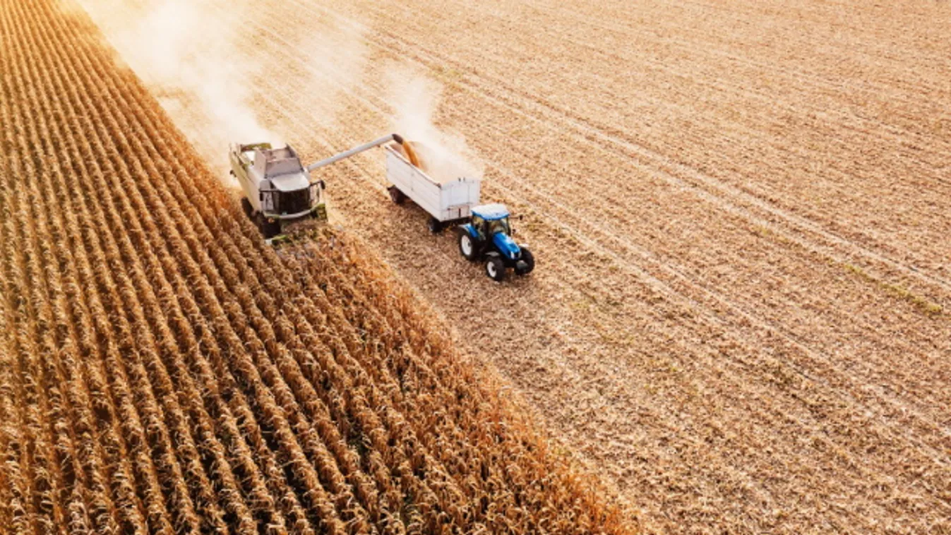 A vártnál is gyengébb lett az őszi betakarítás terméseredménye Békés megyében