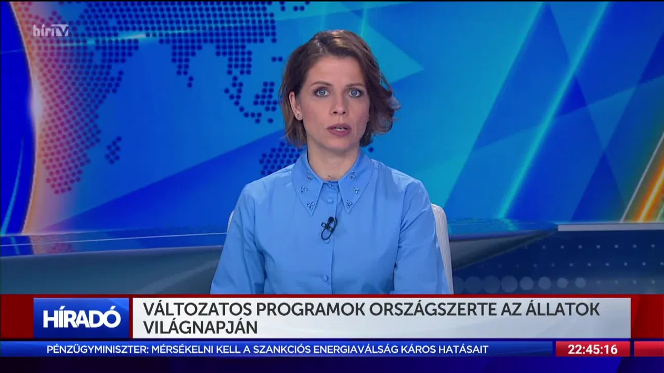 Változatos programok országszerte az állatok világnapján