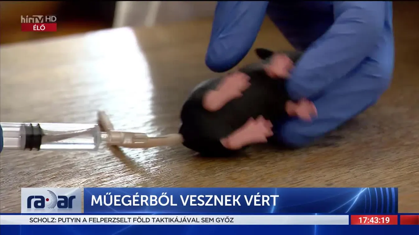 Radar - Műegérből vesznek vért (2022-10-20)