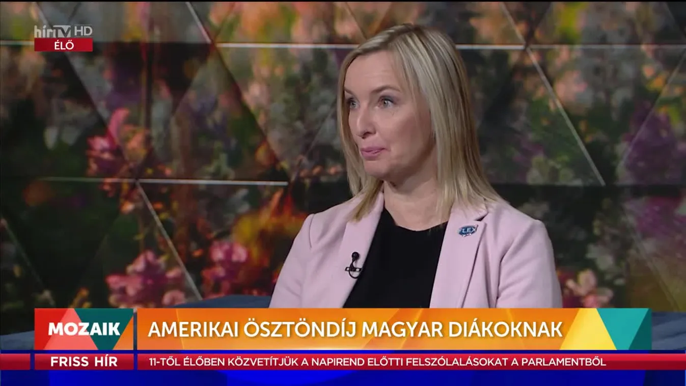 Mozaik - Amerikai ösztöndíj magyar diákoknak