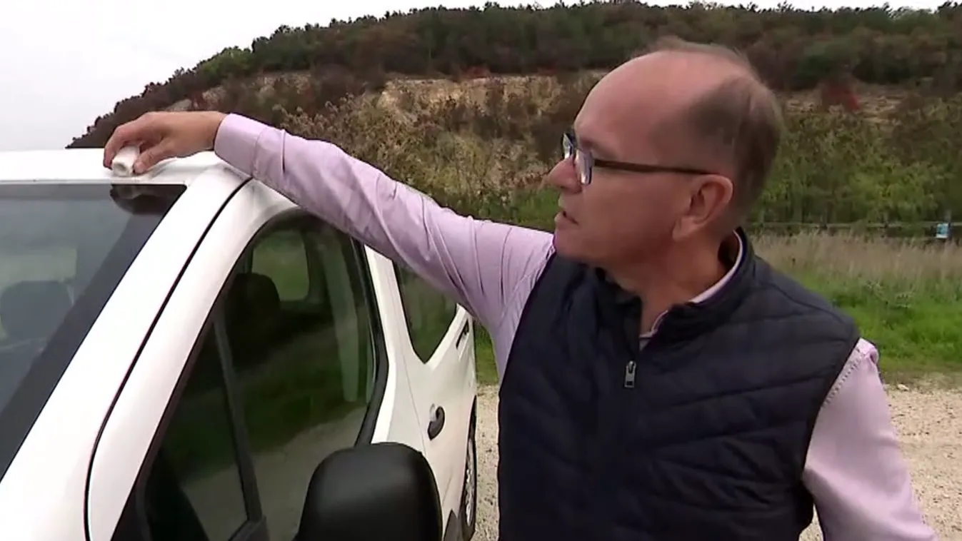 Mozaik - Magyar fejlesztésű találmány a vadgázolások ellen