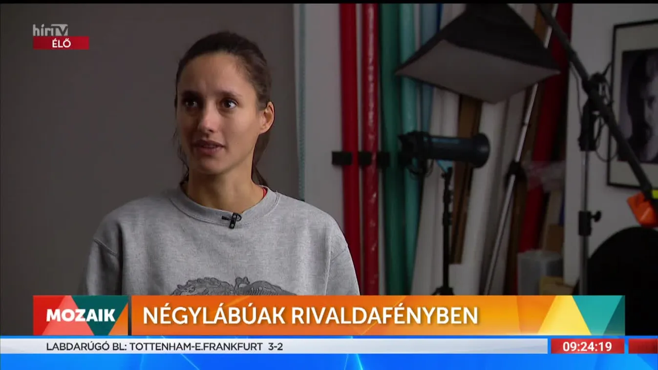 Mozaik - Négylábúak rivaldafényben (2022-10-13)