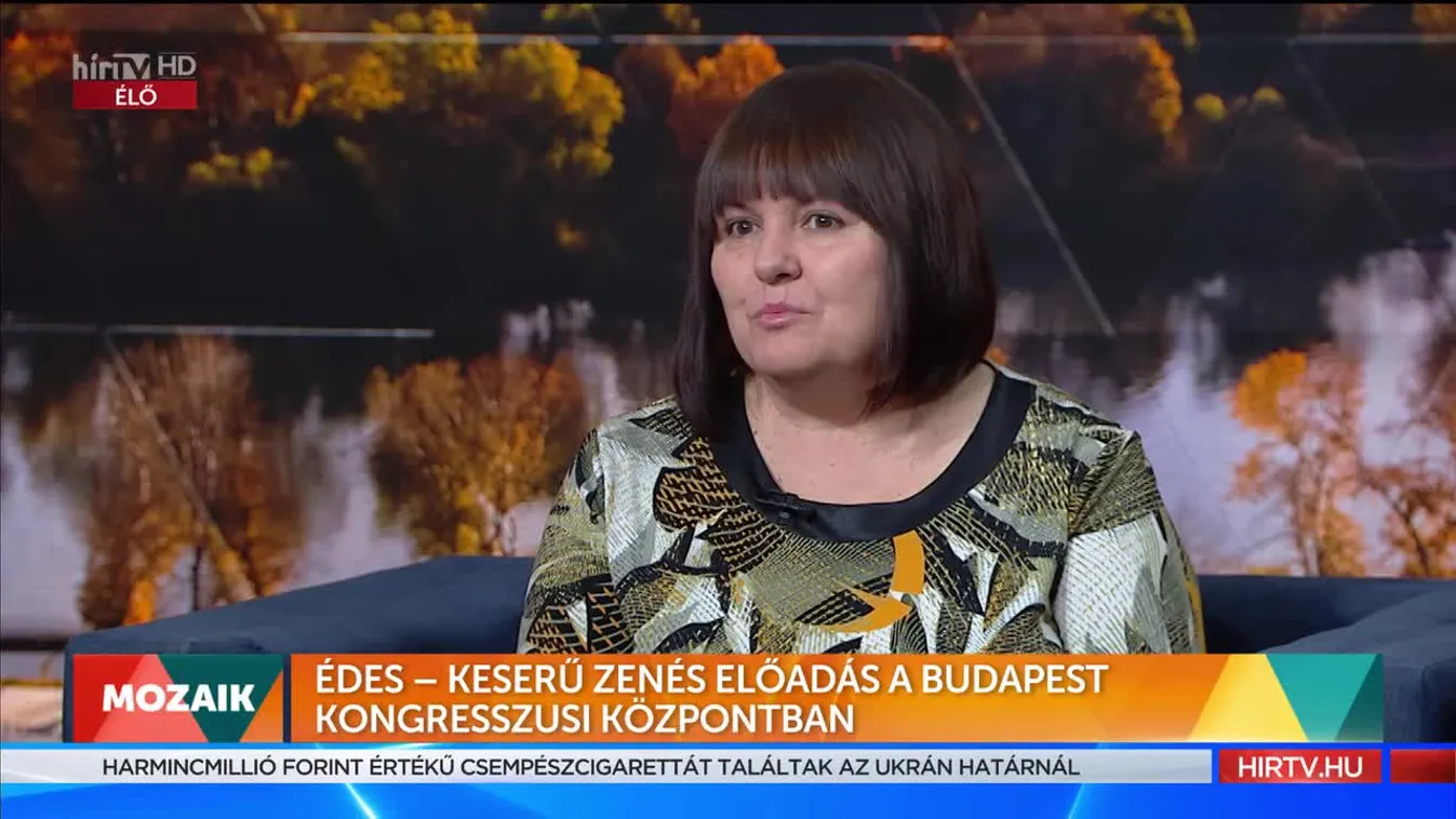 Mozaik - Édes – Keserű zenés előadás a Budapest Kongresszusi Központban (2022-10-26)