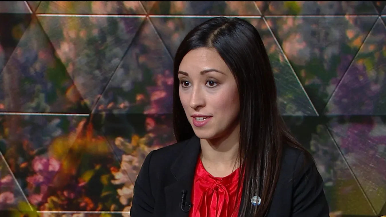 Mozaik - Még 10 napig lehet kitölteni online a népszámlálási kérdőívet