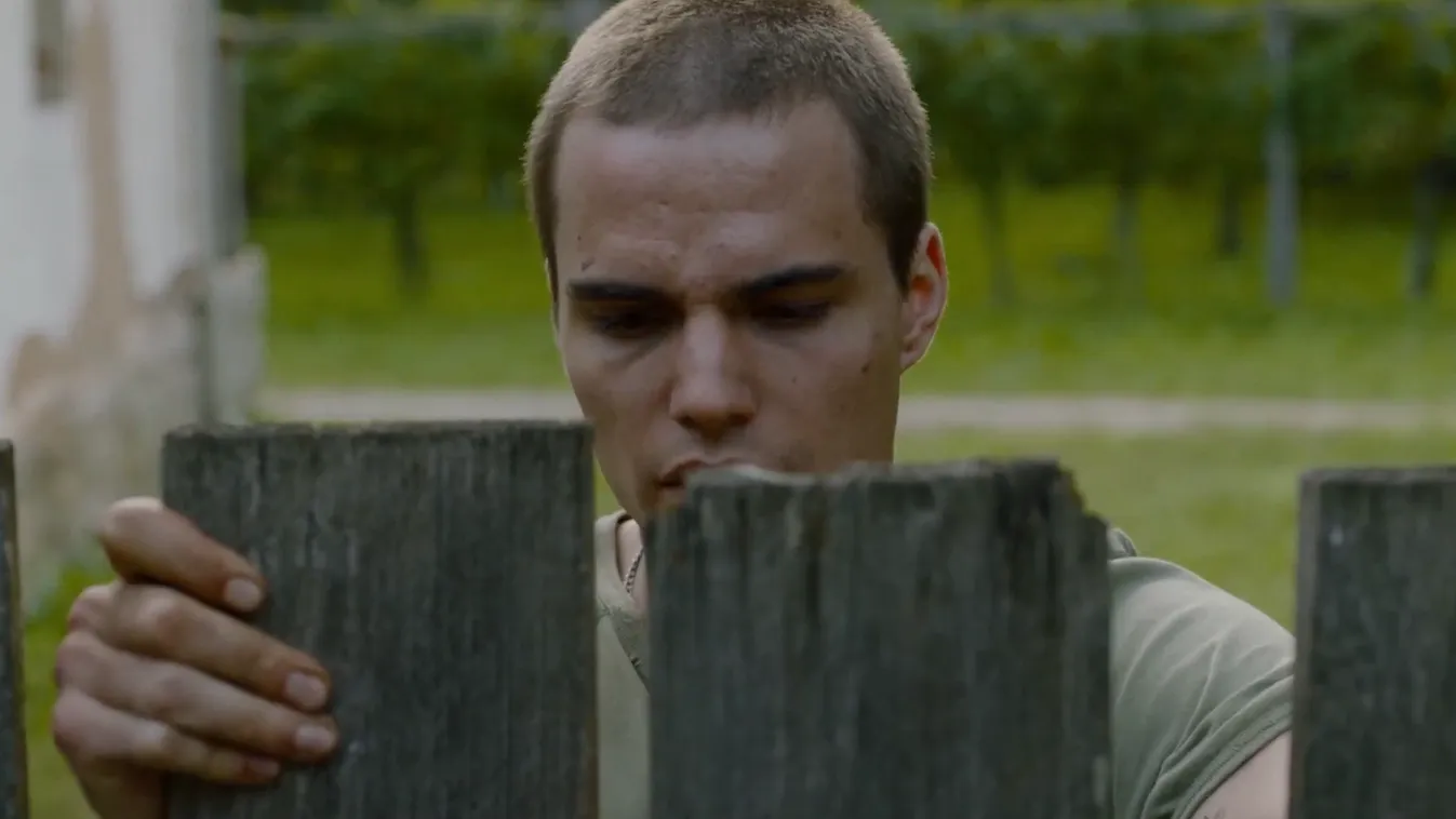 Svenk: December 1-től mozikban a Larry!