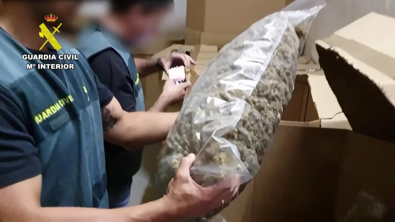 Világrekord kannabiszfogás