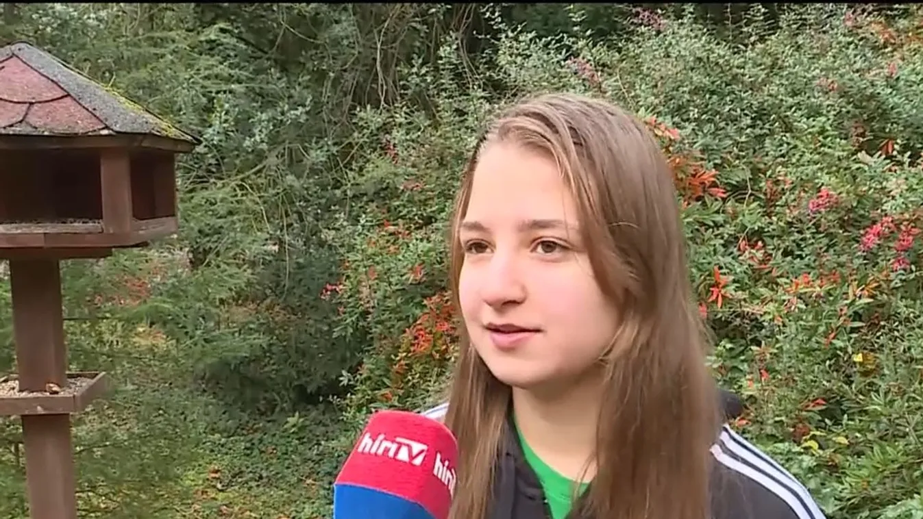 Kezdődhet a téli madáretetés