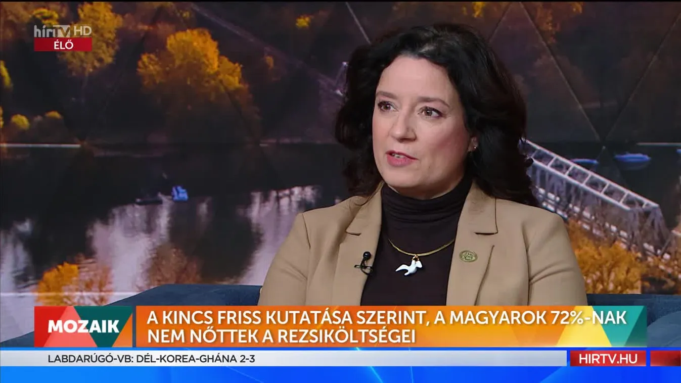 Mozaik: Kincs: A magyarok 72%-nak nem nőttek a rezsiköltségei