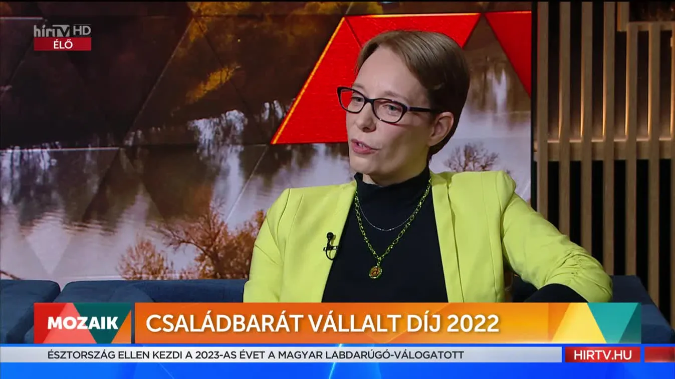 Mozaik - Családbarát Vállalat díj 2022 (2022-11-30)