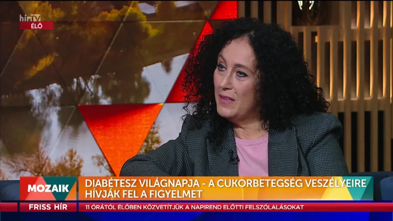 Mozaik - Diabétesz Világnapja (2022-11-02)
