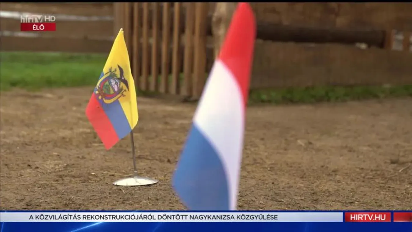 Radar - Timo jóslata a Hollandia-Ecuador meccsre (2022-11-24)