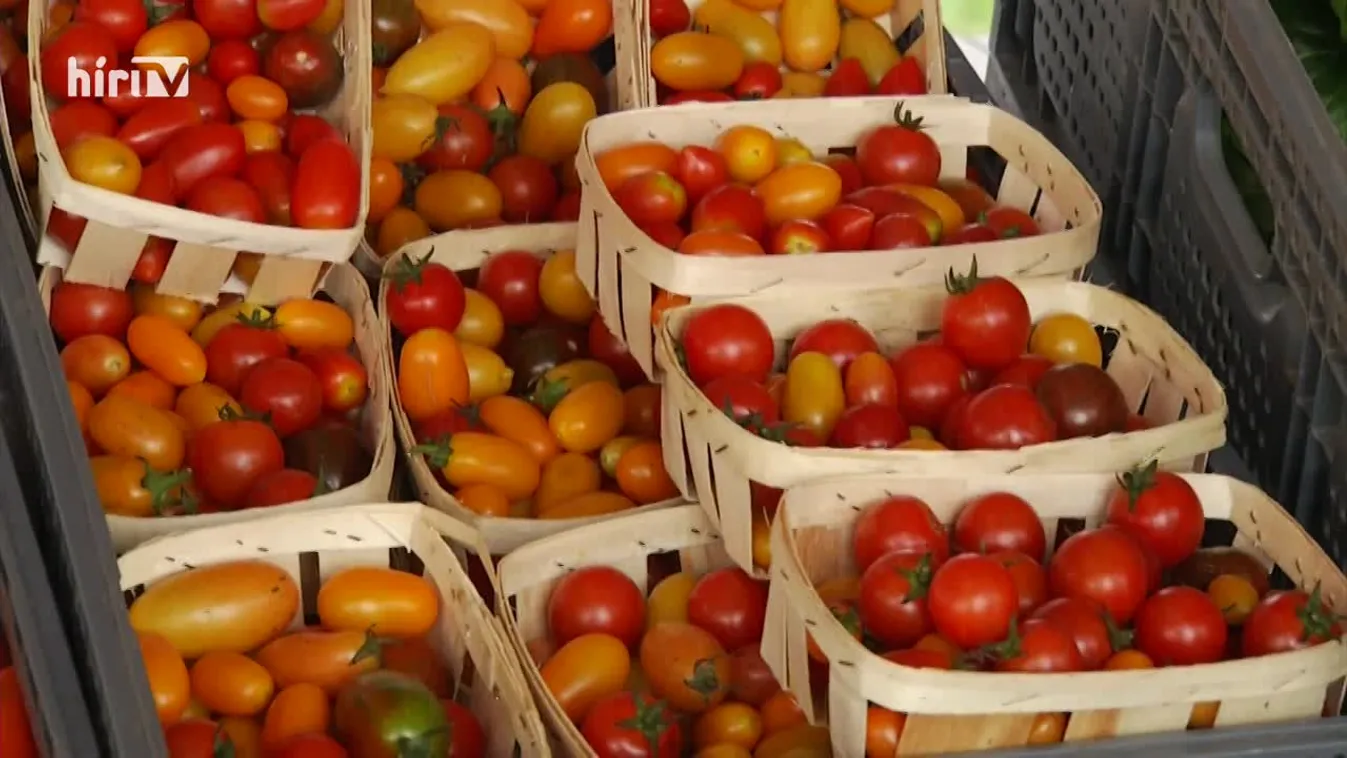 Zöldövezet (2022-11-06)