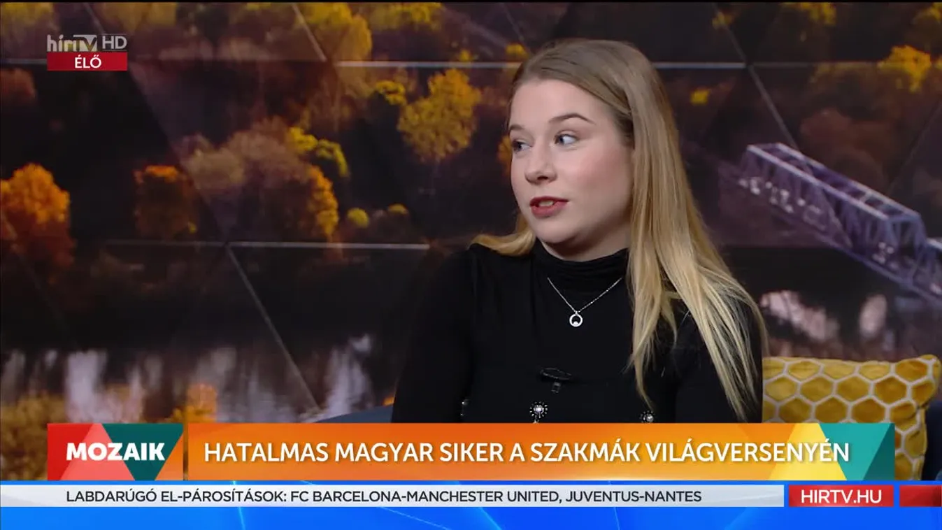 Mozaik - Hatalmas magyar siker a szakmák világversenyén