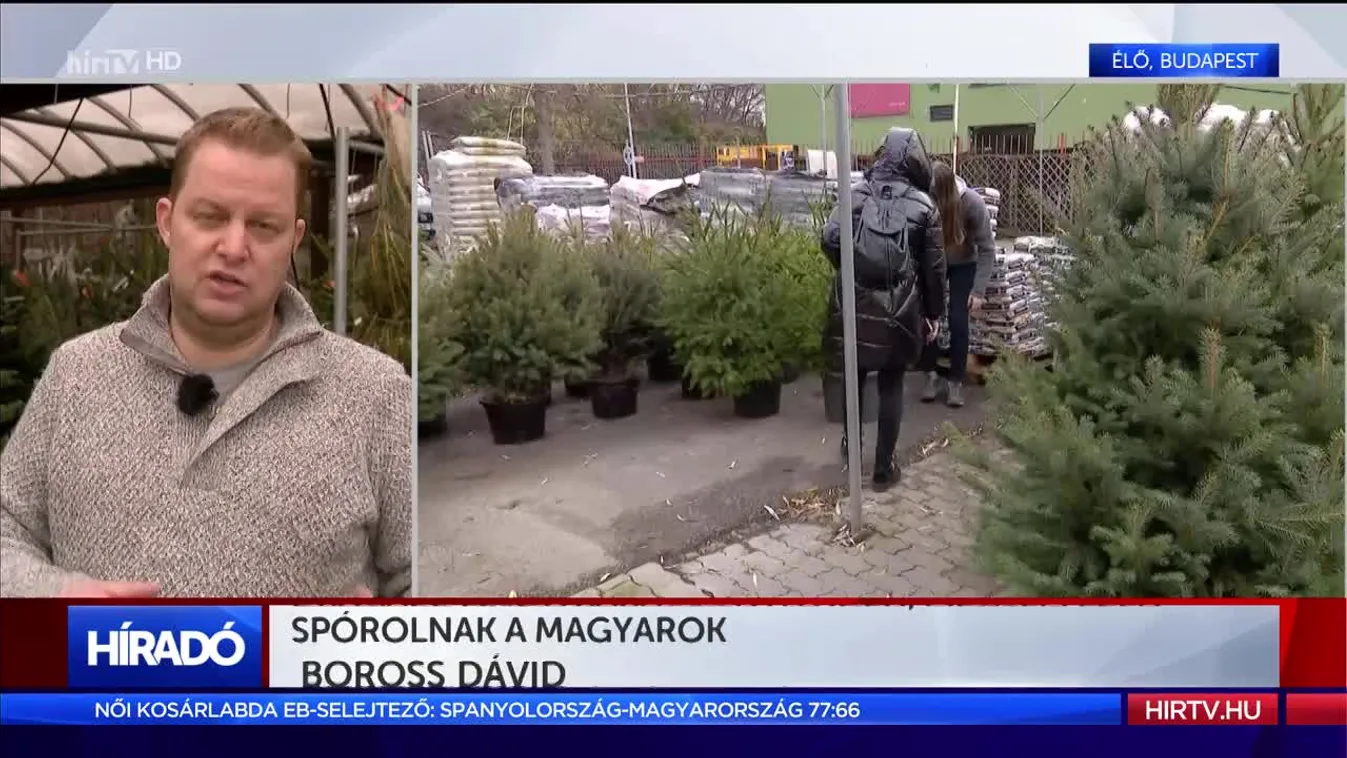 Drágább lesz a karácsonyfa idén, mégsem ezen spórolnak a magyarok
