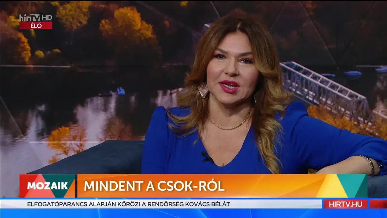 Mozaik - Mindent a CSOK-ról (2022-11-23)