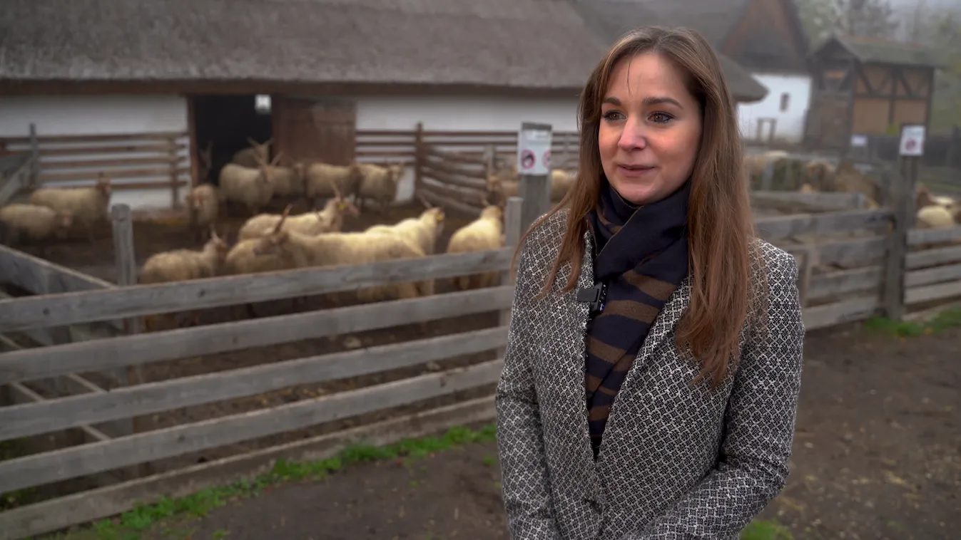 Radar - Márton-napi hagyományok