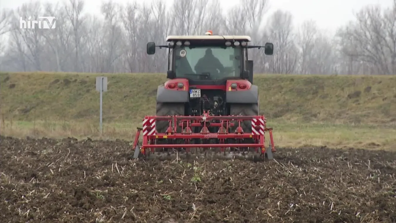 Soroló (2022-11-05)