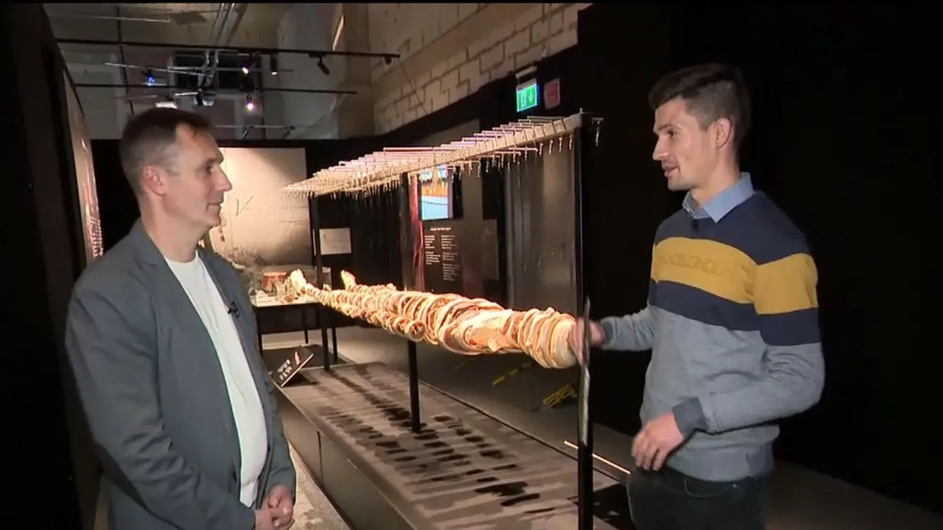 Mozaik - Különleges kiállítás - Egy tárlat, egy felejthetetlen utazás az emberi test világába