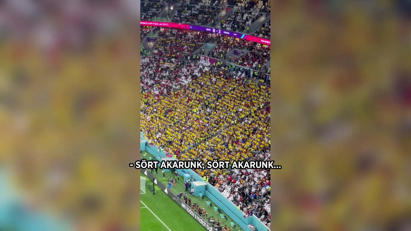 Ecuadori szurkolók: „Sört akarunk!”
