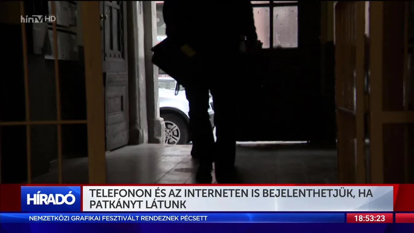 Telefonon és az interneten is bejelenthetjük, ha patkányt látunk