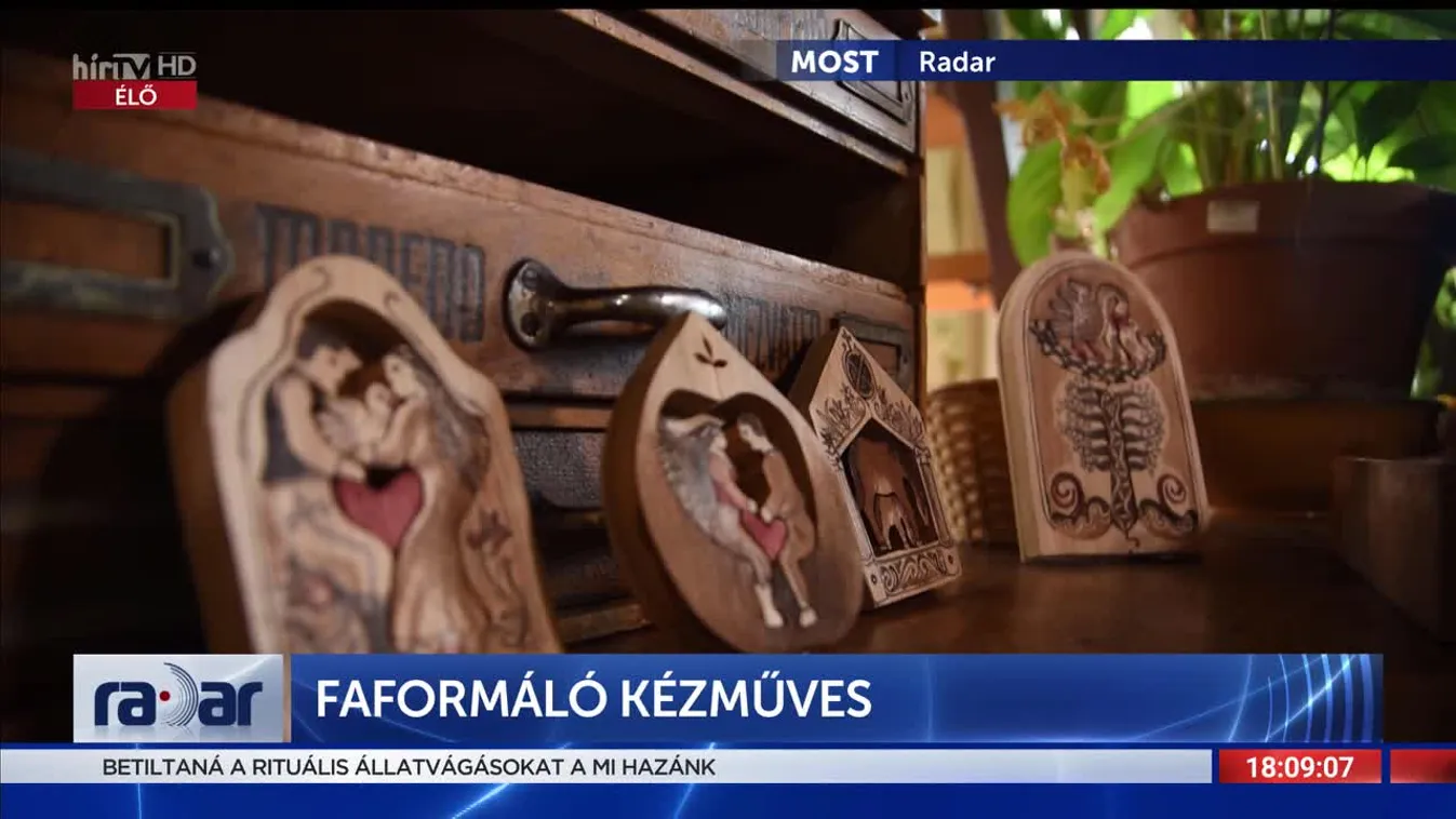 Radar - Faformáló kézműves