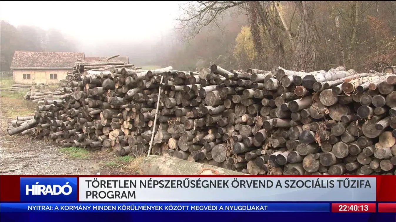 Töretlen népszerűségnek örvend a szociális tűzifa program