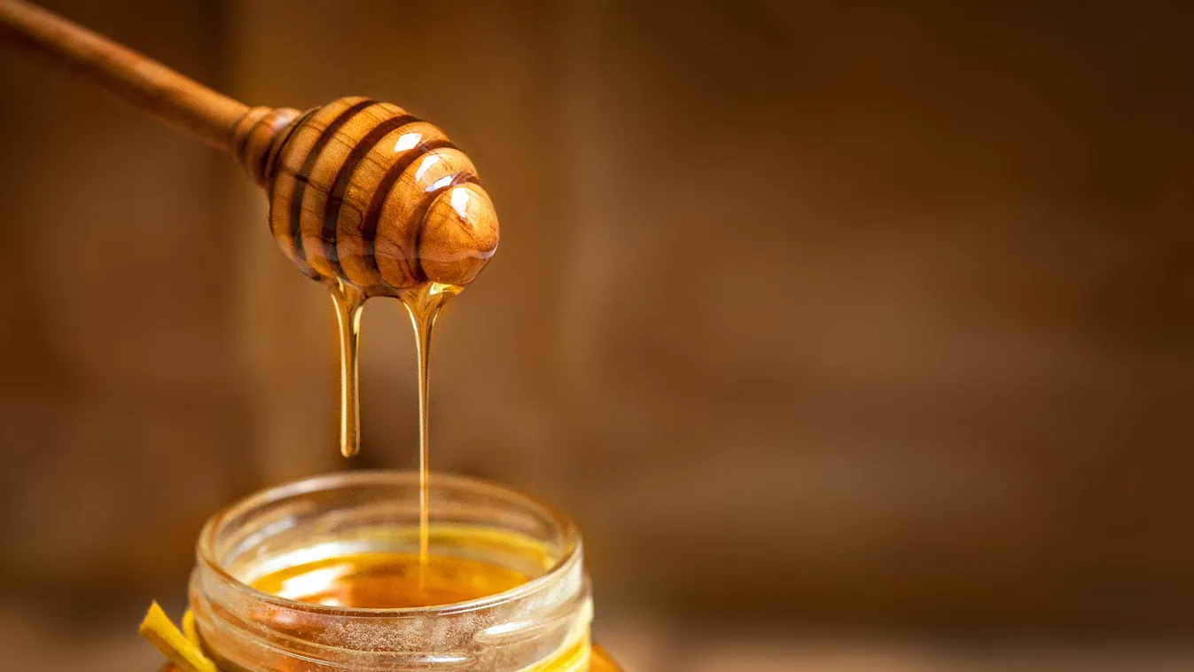 Európai Mézes Reggeli kampány indult az iskolákban