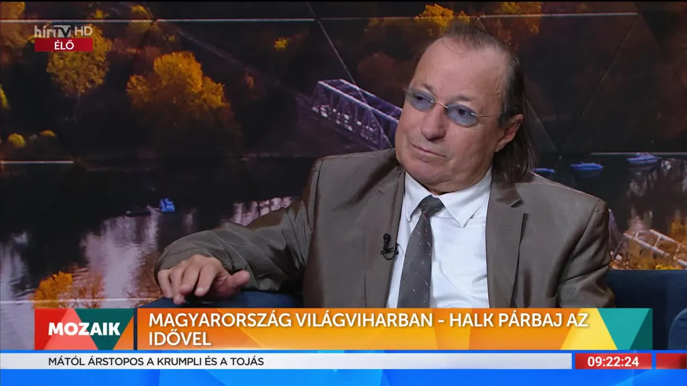 Mozaik – Magyarország világviharban (2022-11-10)