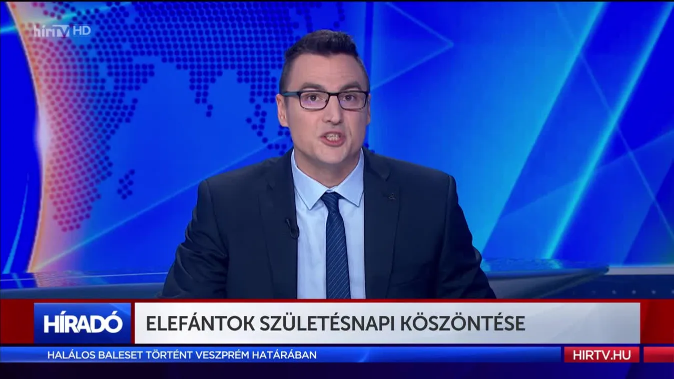 Elefántok születésnapi köszöntése