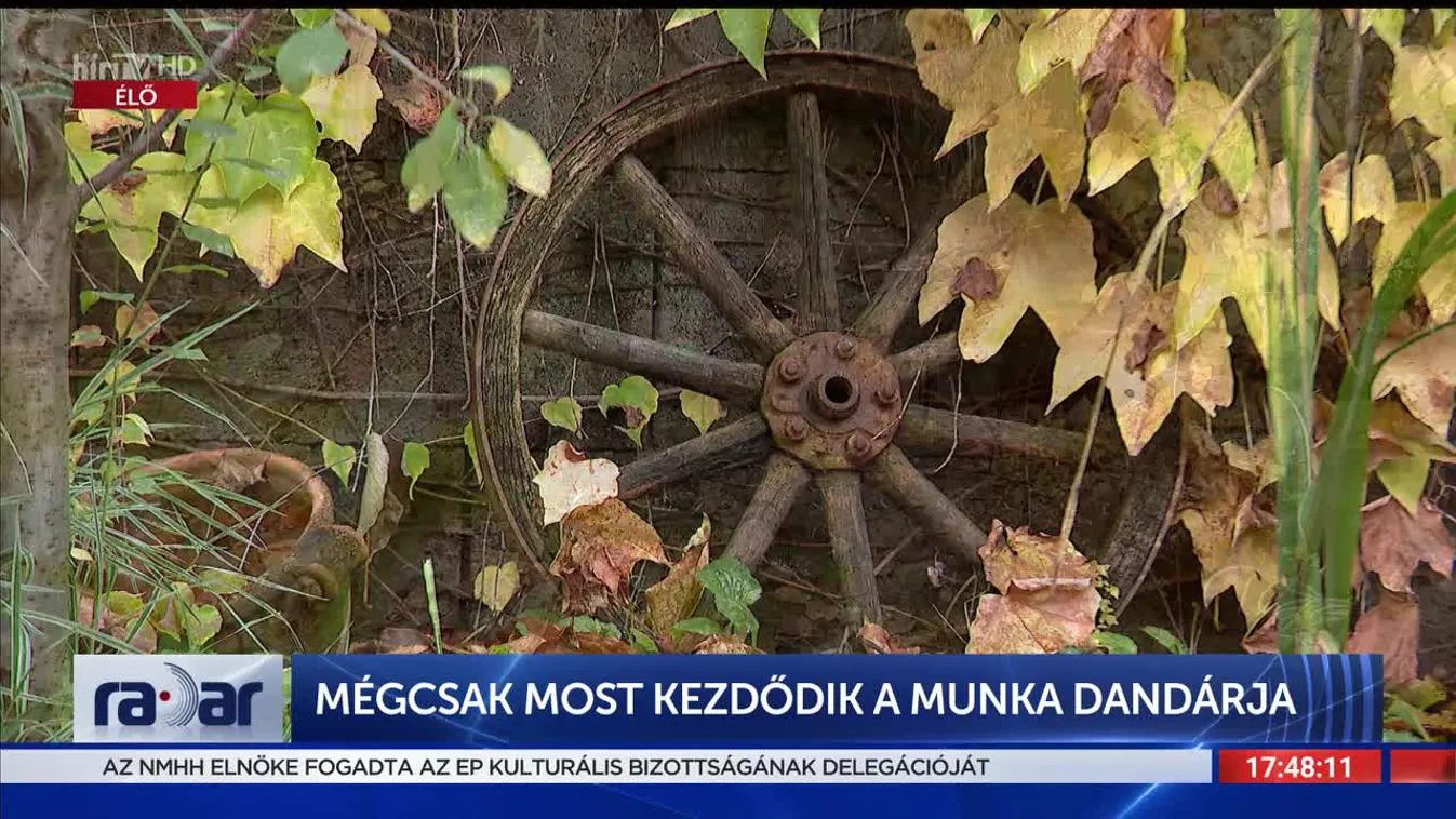 Mégcsak most kezdődik a munka dandárja