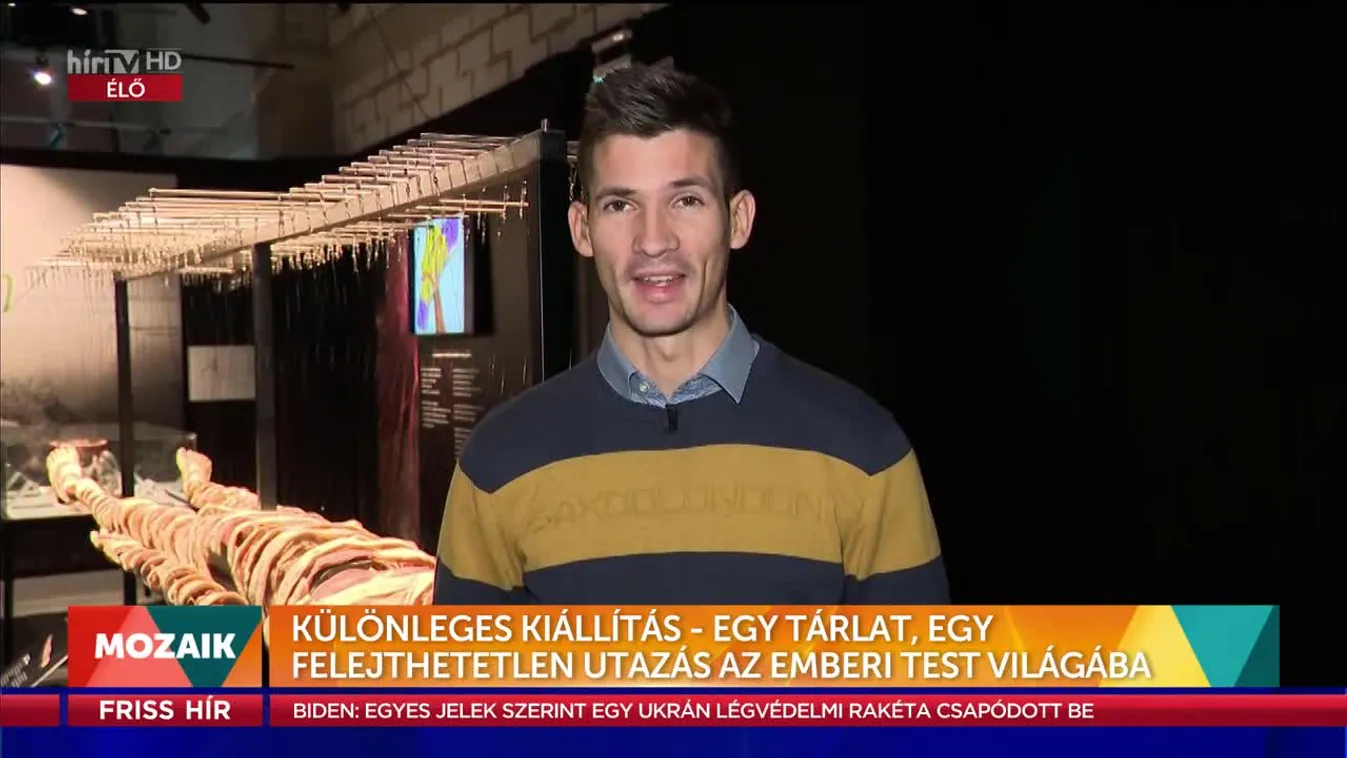 Mozaik - Különleges kiállítás - Egy tárlat, egy felejthetetlen utazás az emberi test világába (2022-11-16)
