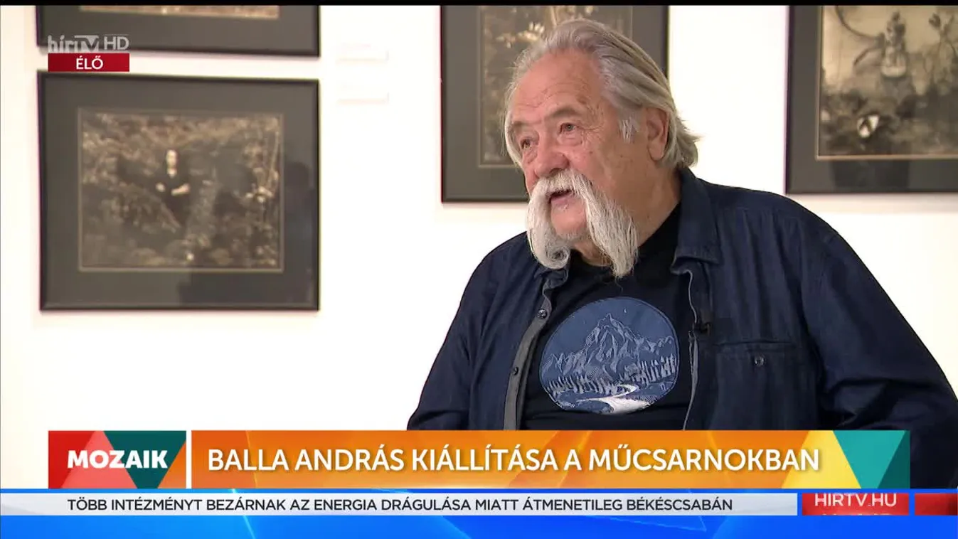 Mozaik - Balla András kiállítása a Műcsarnokban