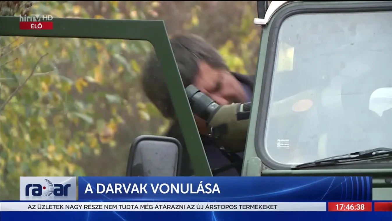 Radar - A darvak vonulása