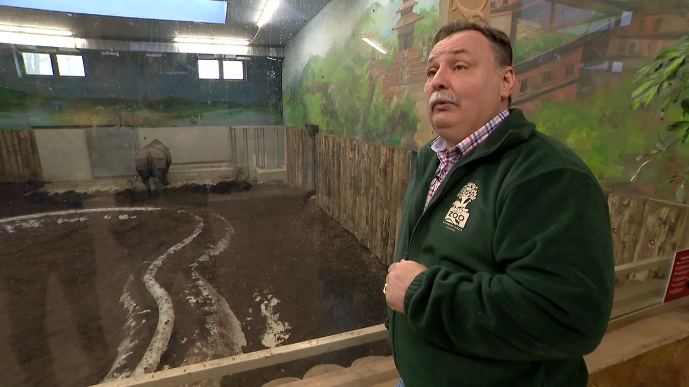 Radar - Indiai orrszarvú született Nyíregyházán