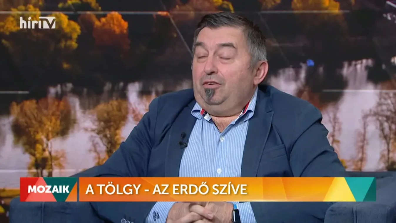 Mozaik - A tölgy - Az erdő szíve (2022-11-01)